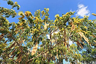 《Chaos Islands》Steam页面上线 卡牌构建+塔防