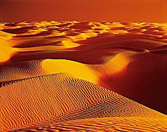 《忍者龙剑传4》首次通关大约需要15-20小时